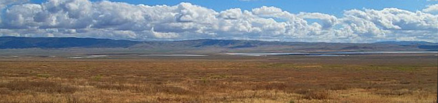 Carrizo Plain